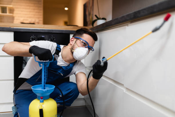 Best Exterminator Services  in Hampton, GA