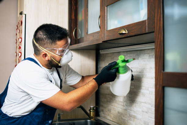 Best Pest Control for Homes  in Hampton, GA