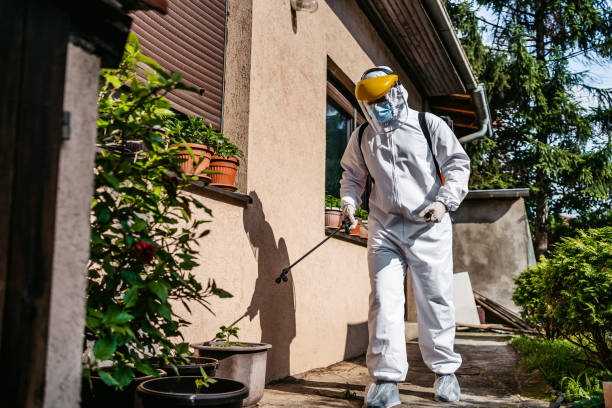 Best Pest Removal Services  in Hampton, GA