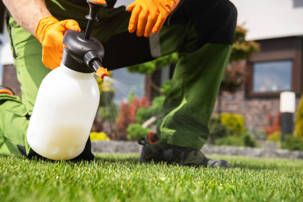 Best Pest Removal Services  in Hampton, GA