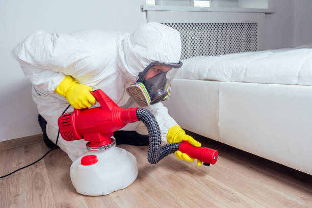 Professional Pest Control in Hampton, GA
