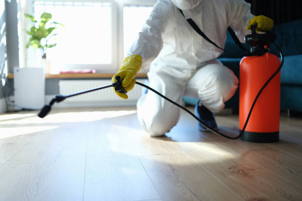 Best Pest Prevention Services  in Hampton, GA