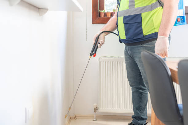 Best Local Pest Control Services  in Hampton, GA