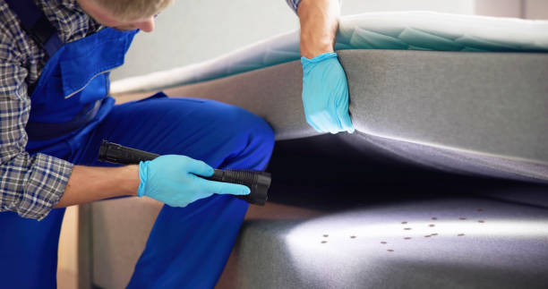  Hampton, GA Pest Control Pros