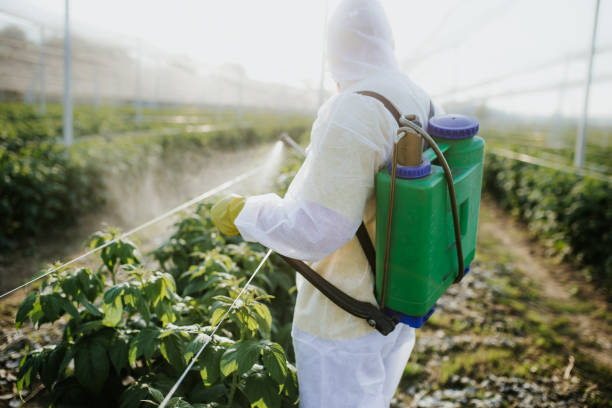 Best Pest Control Near Me  in Hampton, GA